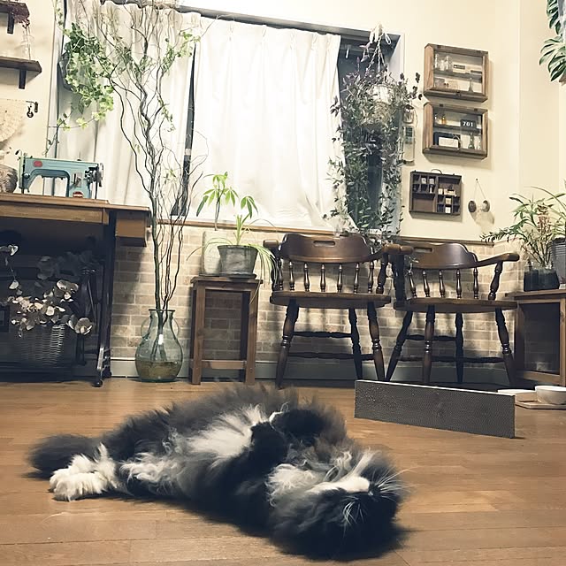 mucc08さんの実例写真