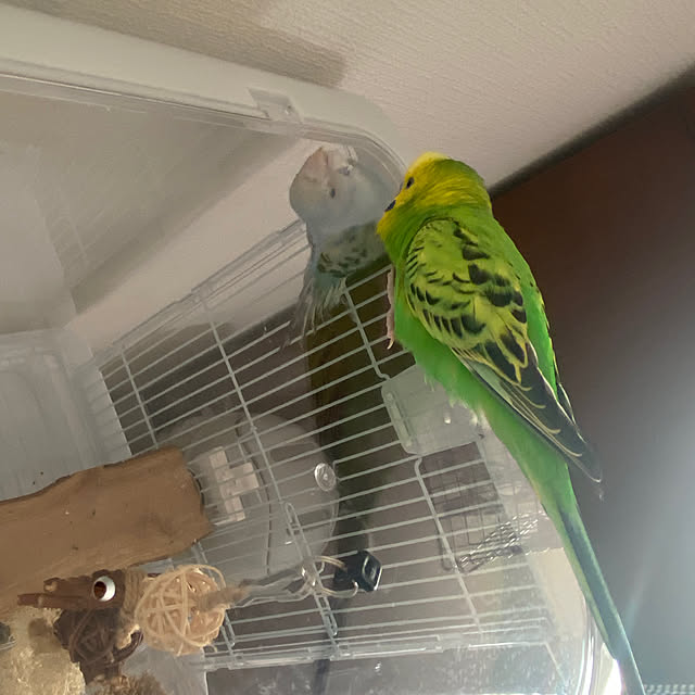 ohanaさんの部屋