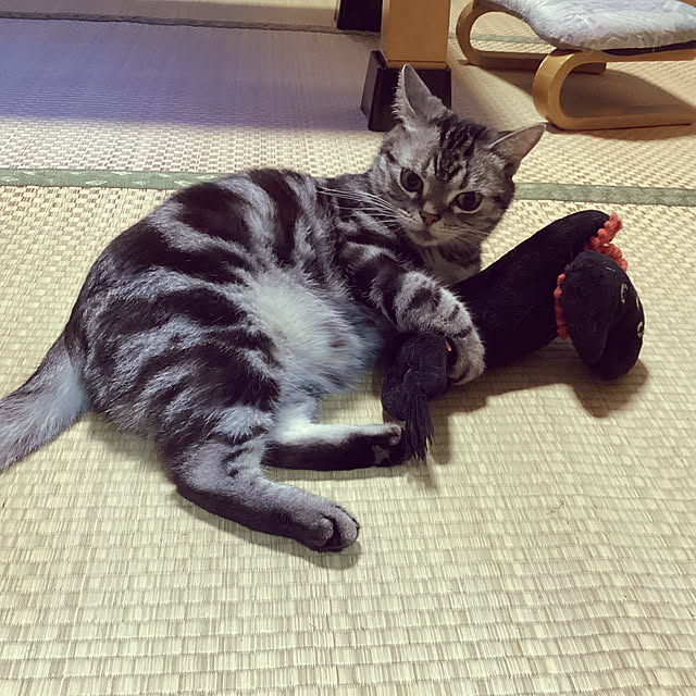 richanさんの部屋