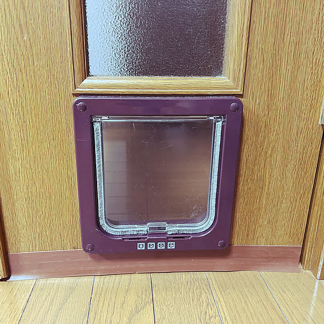 リビング/キャットドア/猫/猫と暮らす家/DIY...などのインテリア実例 - 2023-07-29 19:42:22