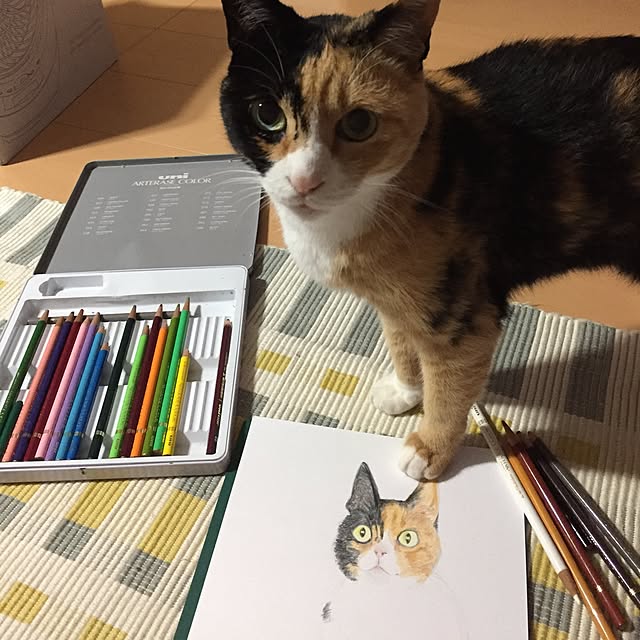 meguchiyoさんの実例写真