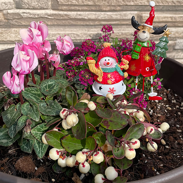 ronronさんの部屋