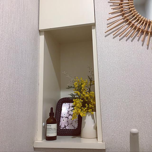 nepenthesさんの実例写真