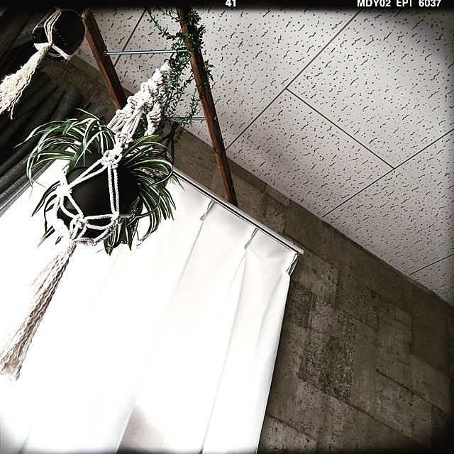 yukoyukoさんの実例写真