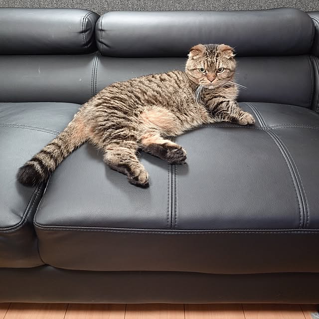 noguriさんの部屋