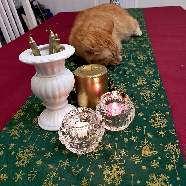 n.y1119さんの実例写真