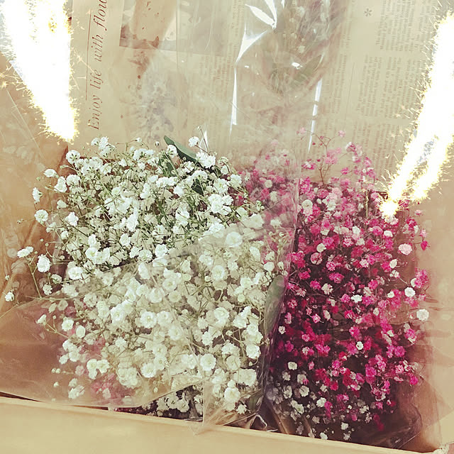 ryokoさんの実例写真