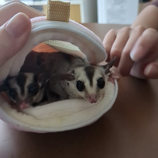 Annaさんの部屋