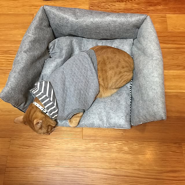 hiro3さんの実例写真