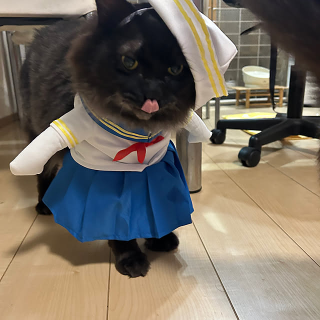 miruさんの実例写真