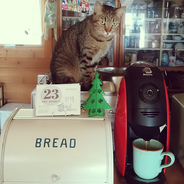 Maki-nekomamireさんの実例写真