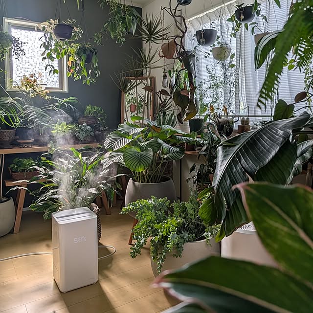 ayamameさんの部屋