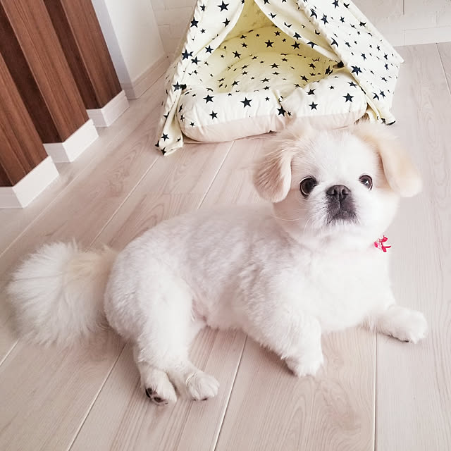 Arahimaさんの実例写真