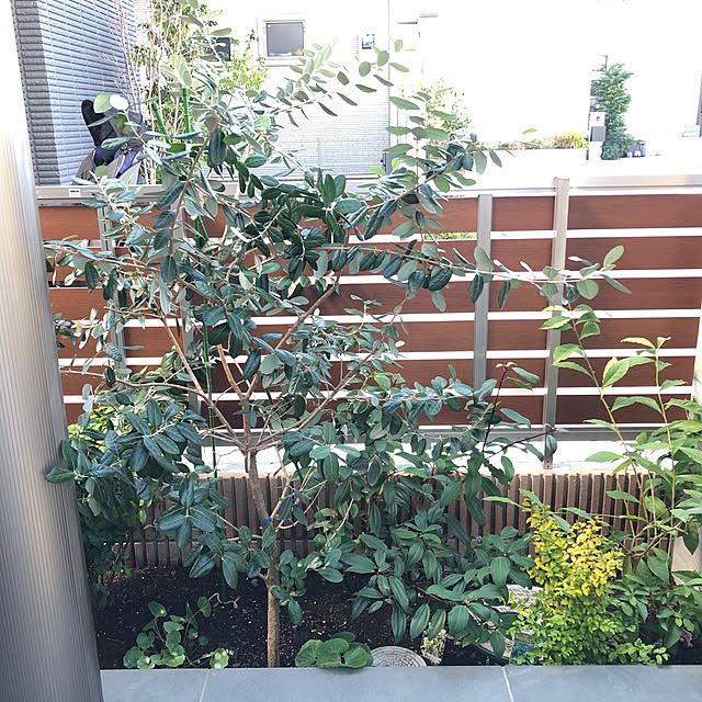 Rororiさんの部屋