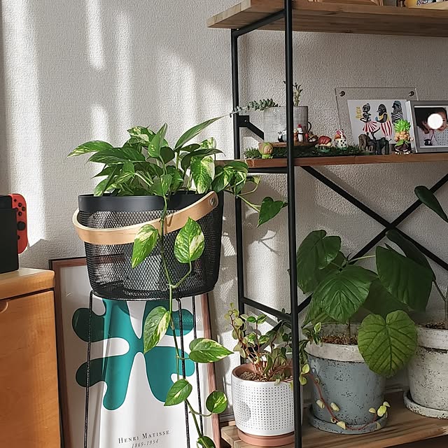 pomさんの部屋