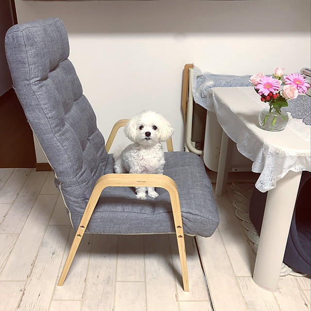 royさんの実例写真