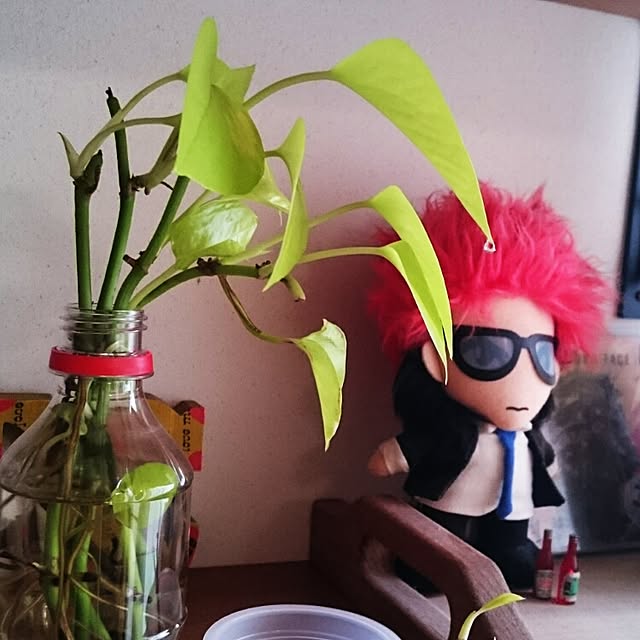 nozaさんの実例写真