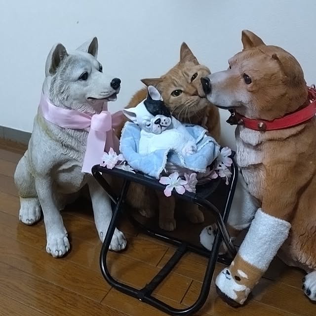 NOAHさんの部屋