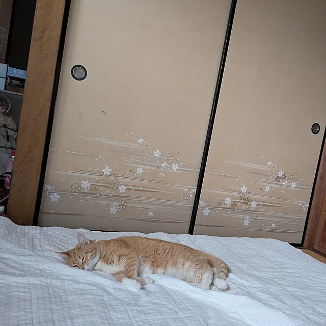 minnieさんの部屋