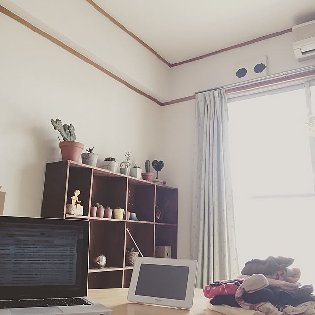 doroさんの実例写真
