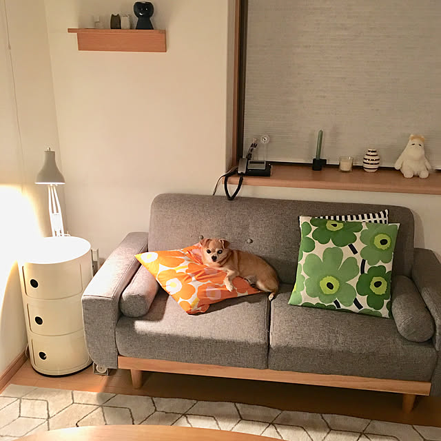 haritakaさんの実例写真