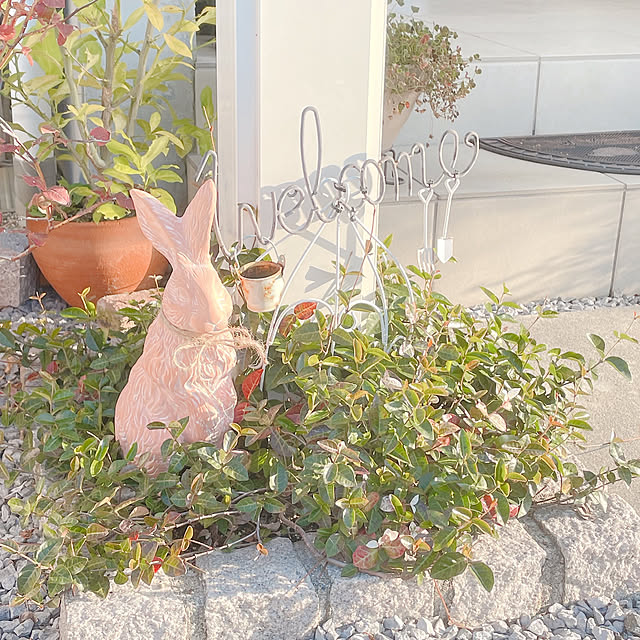 akiko-ovさんの部屋