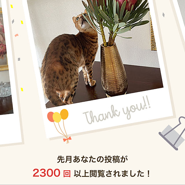 nene6さんの実例写真