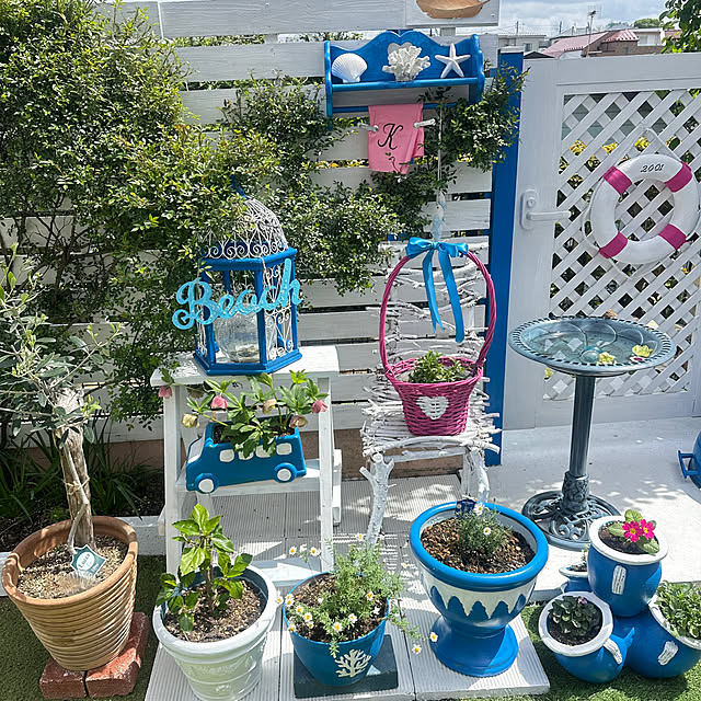 Megumiさんの部屋