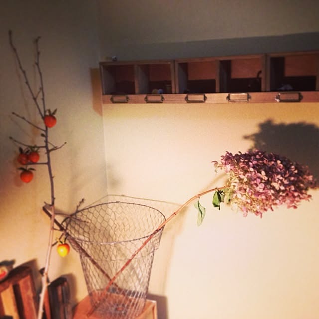 Akikoさんの実例写真