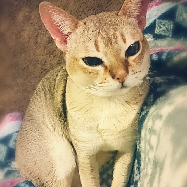 Jcさんの実例写真