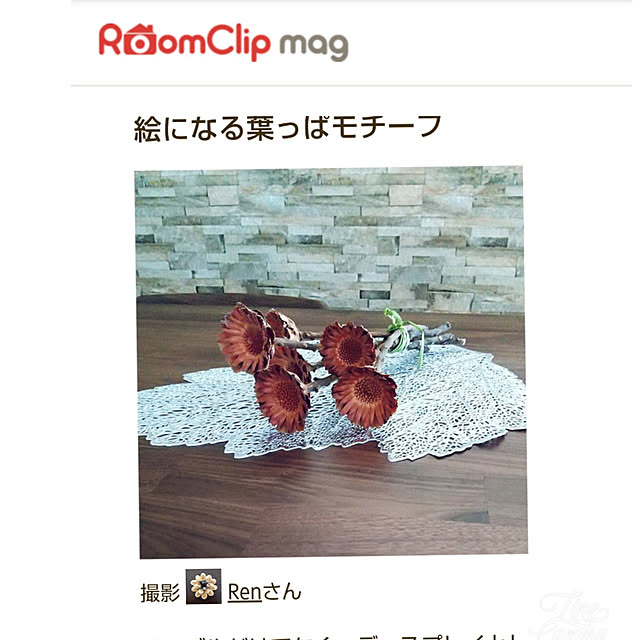 Renさんの実例写真