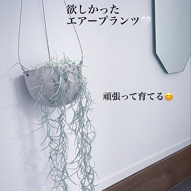 sonoさんの実例写真