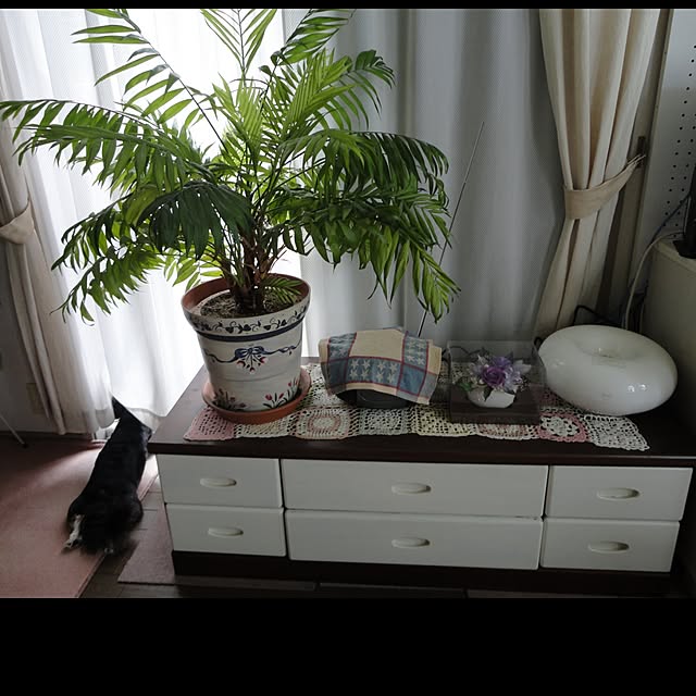 AcchanSaysさんの実例写真