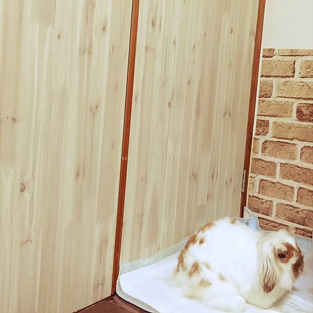 sasanquaさんの実例写真