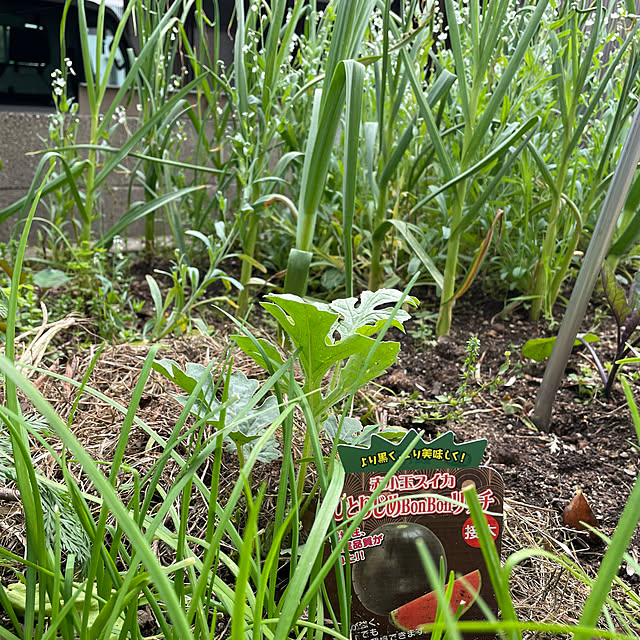 natsumiさんの部屋