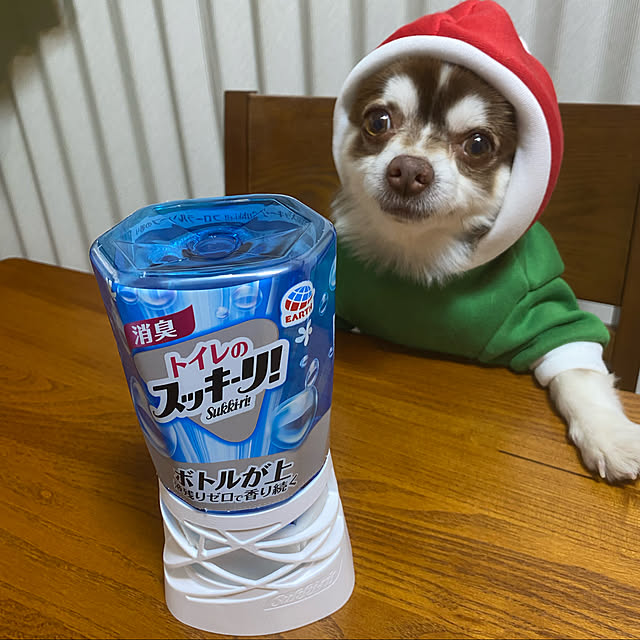 クロエ君/犬ばかですいません。/トイレのスッキーリ！/スッキーリ！/香りのある暮らし...などのインテリア実例 - 2021-11-21 08:52:53