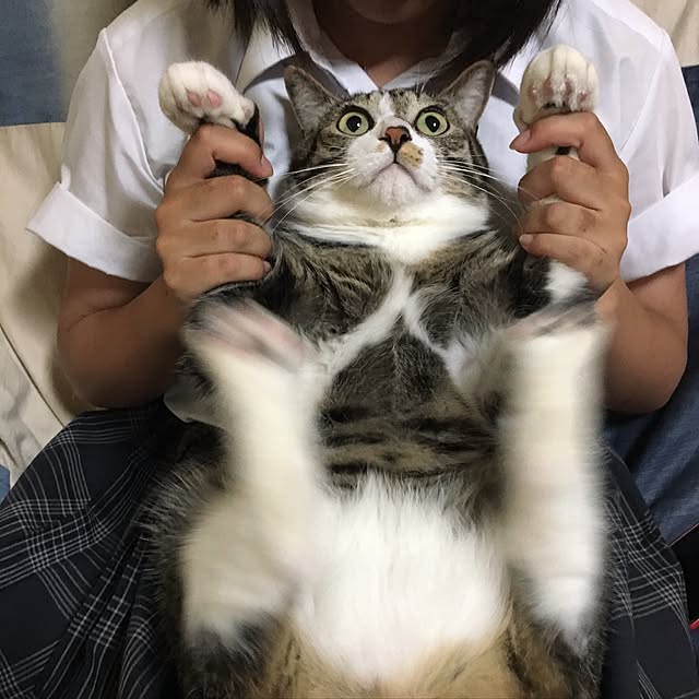 kimikimiさんの実例写真