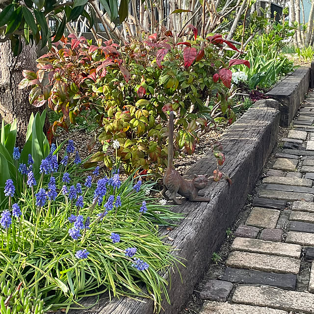 nobikoさんの部屋