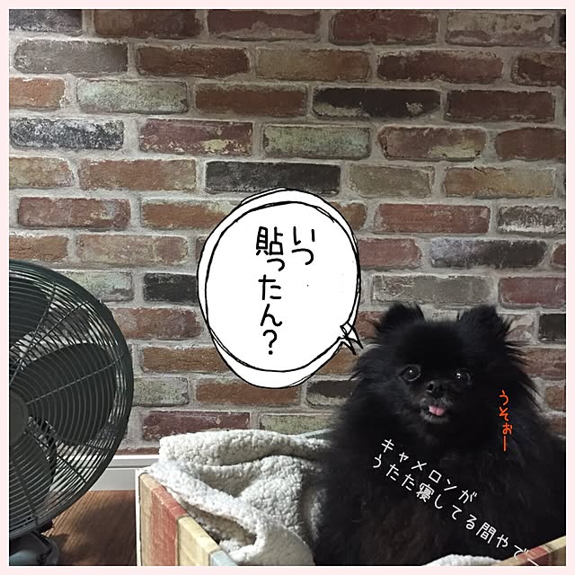 ohanaさんの実例写真