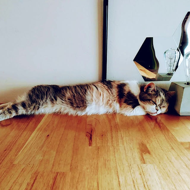 masukoさんの実例写真