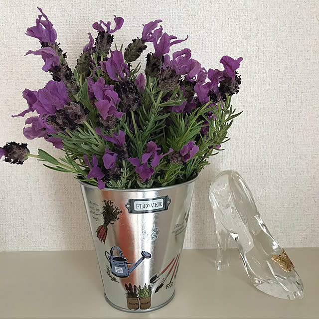 umeboshi08さんの実例写真