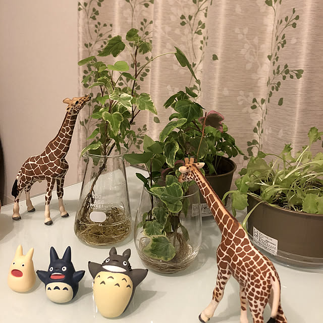 Miyaさんの実例写真