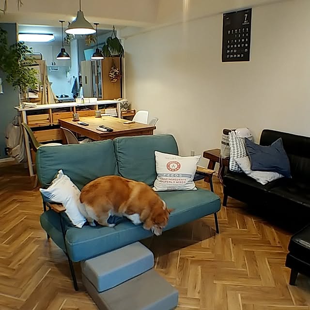 リビング/RoomClipアンケートのインテリア実例 - 2023-11-08 22:58:38