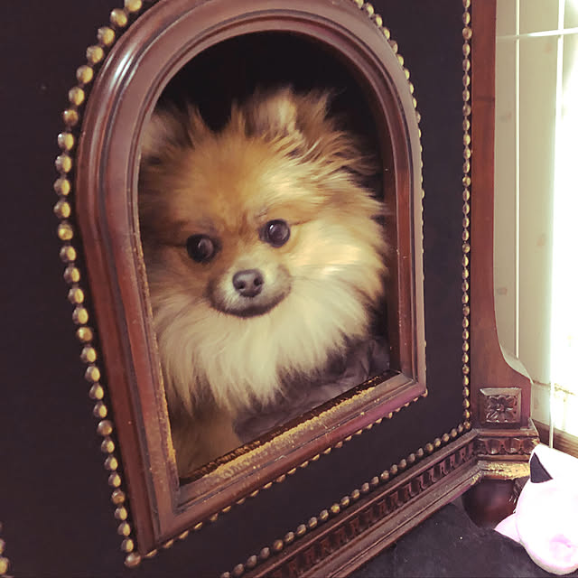 homuさんの実例写真