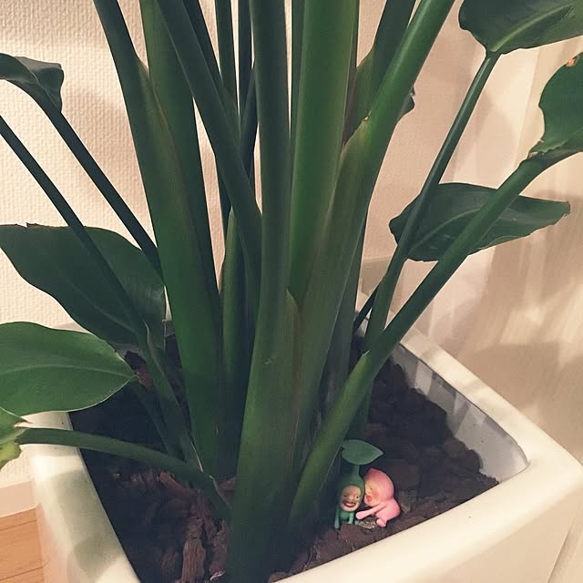 kumiさんの実例写真
