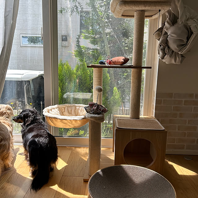 kii-.-homeさんの実例写真