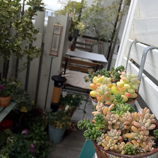 leonaさんの実例写真