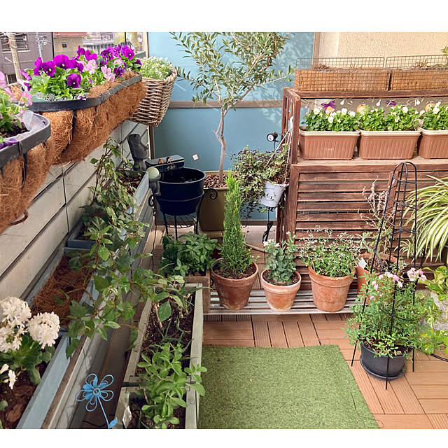 marukoさんの部屋