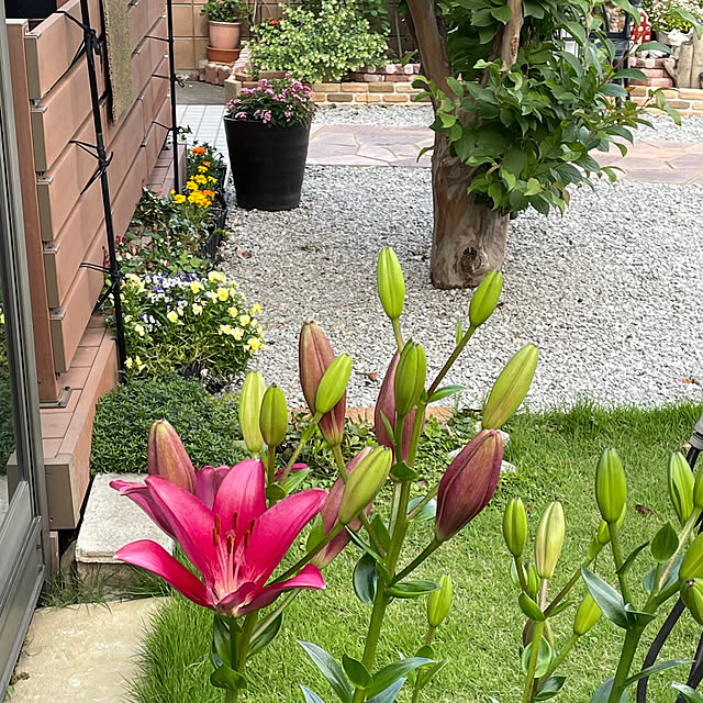ronronさんの部屋