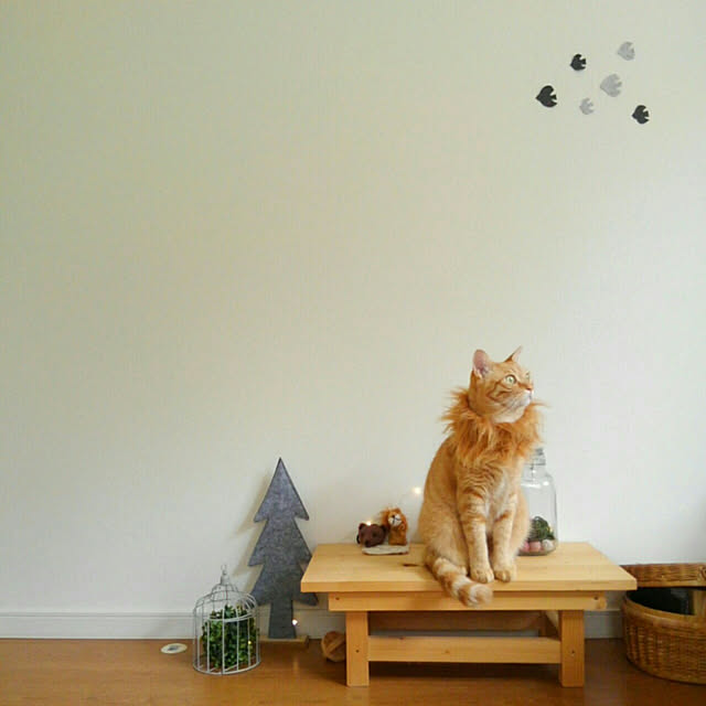 mayutan.さんの実例写真